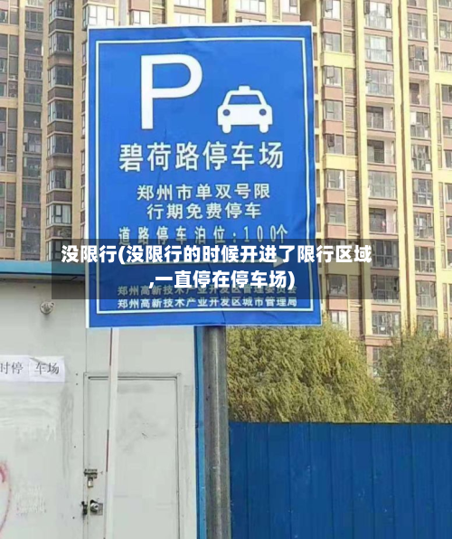没限行(没限行的时候开进了限行区域,一直停在停车场)-第2张图片