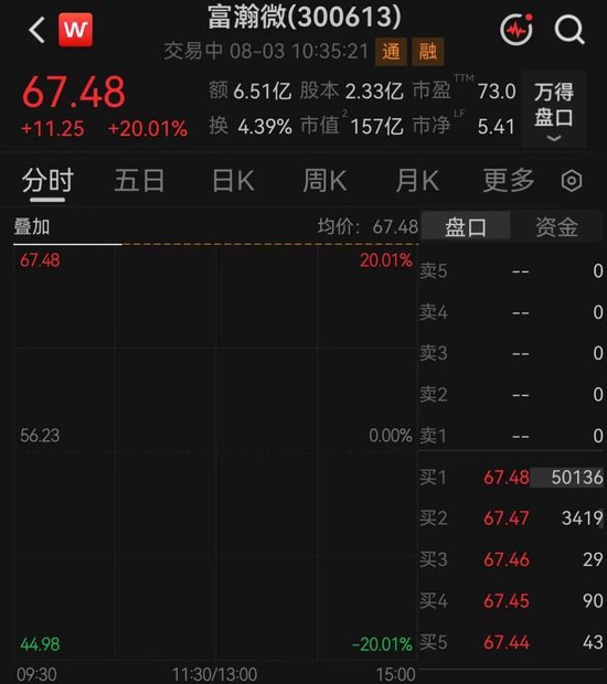 百亿龙头富瀚微，“一	”字涨停