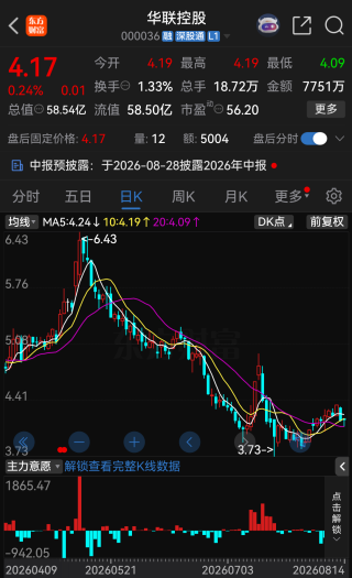 华联控股产业转型突然遇阻	，拟投资阿根廷锂盐湖项目触发审查